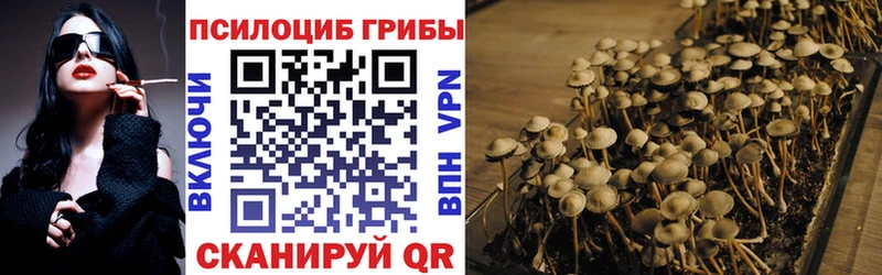 закладка  МЕГА ONION  Галлюциногенные грибы прущие грибы  Тайшет 