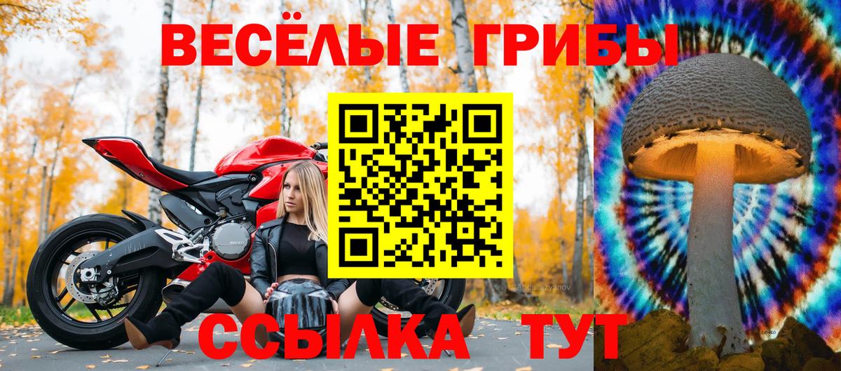 Галлюциногенные грибы GOLDEN TEACHER Тайшет