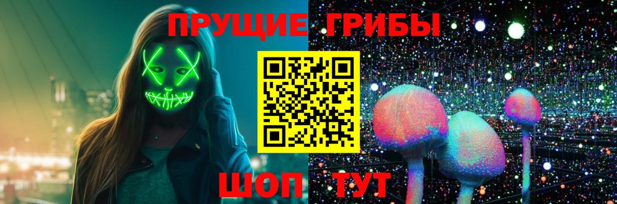 Тайшет  Галлюциногенные грибы ЛСД  Вход с VPN  Галлюциногенные грибы Cubensis 