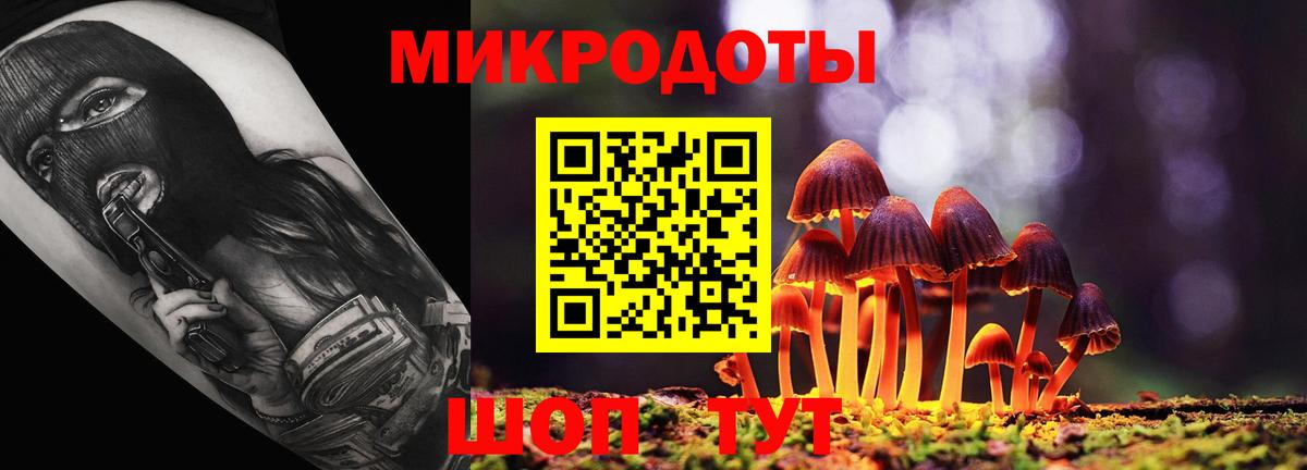 Псилоцибиновые грибы Psilocybine cubensis Тайшет